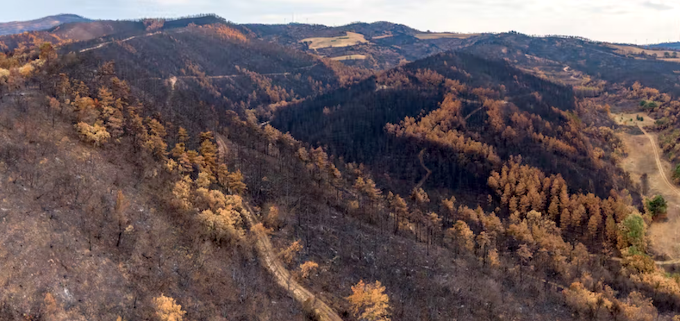 Paisaje quemado tras un incendio en Navarra, 2022. JMGarcestock / Shutterstock