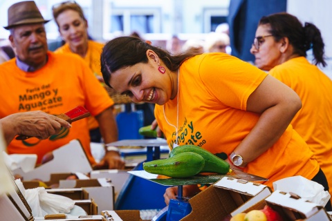 V Feria del Mango y del Aguacate de Verano Mogán