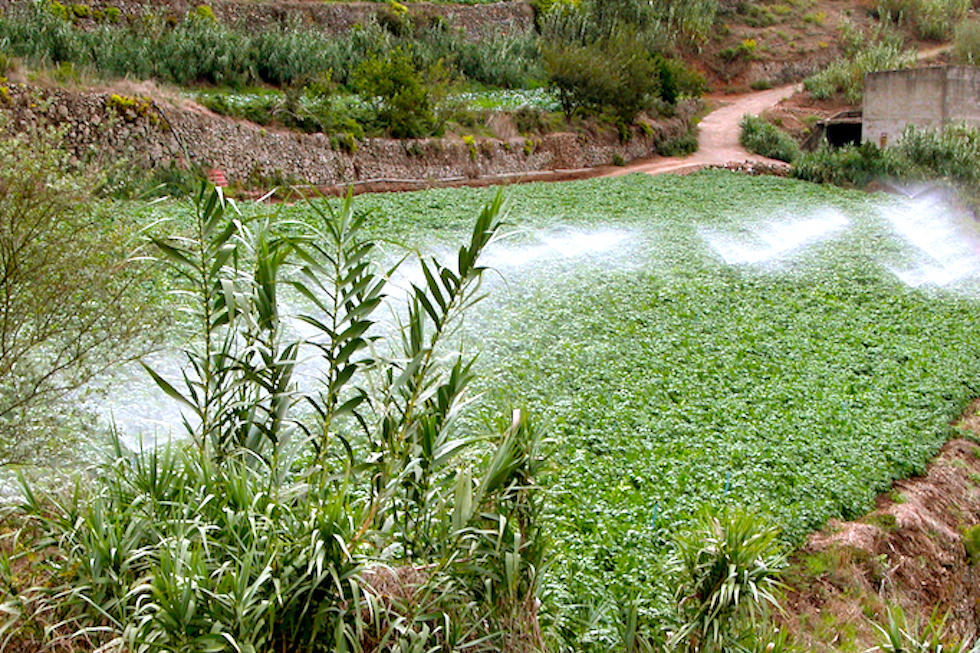 Agriculltura. Imagen de archivo