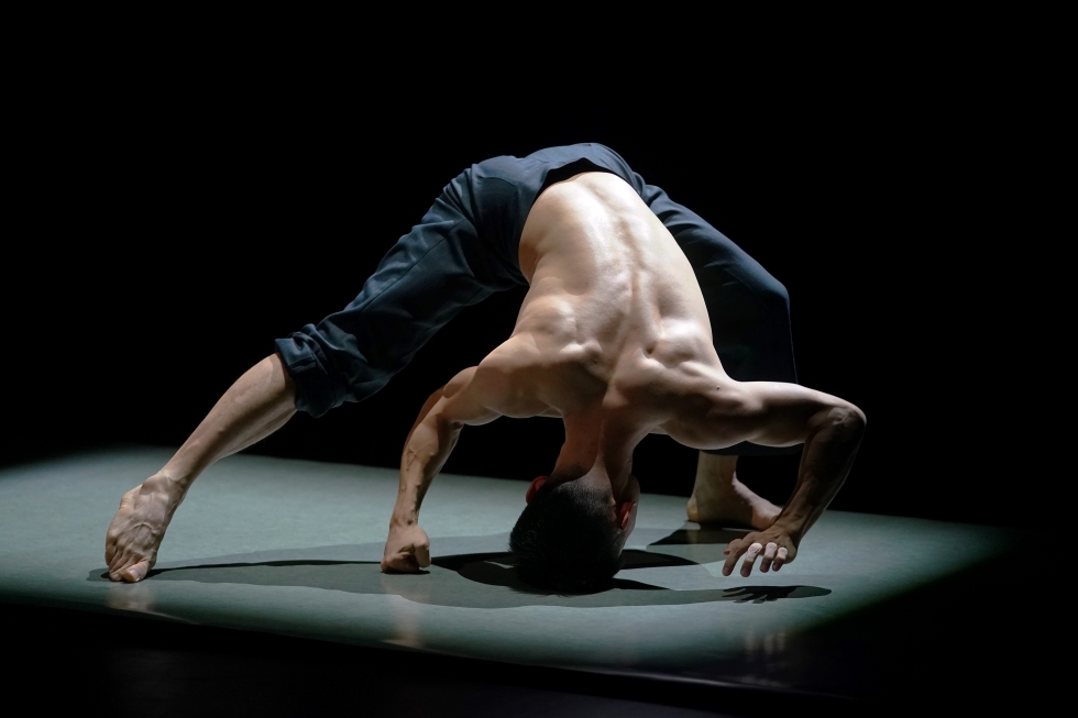 MASDANZA "ELLOS"