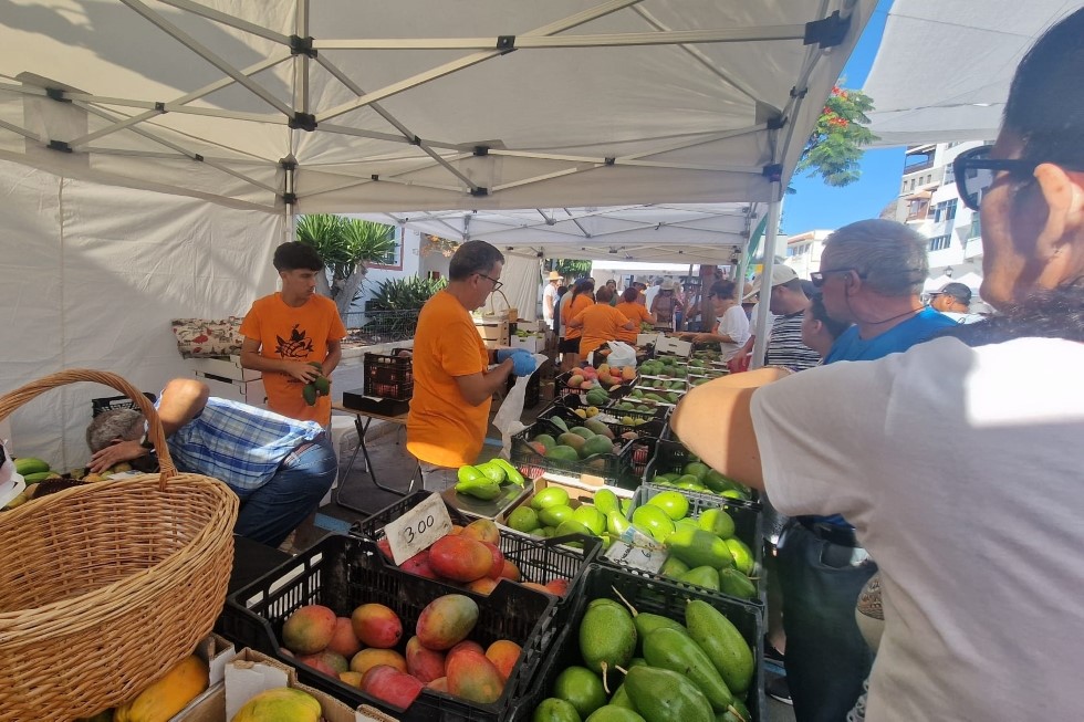 VII Feria del Mango y Aguacate