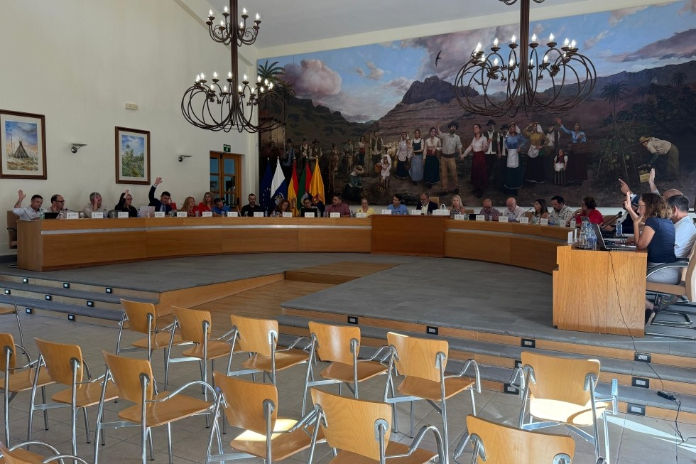 Pleno del Ayuntamiento de Santa Lucía de Tirajana