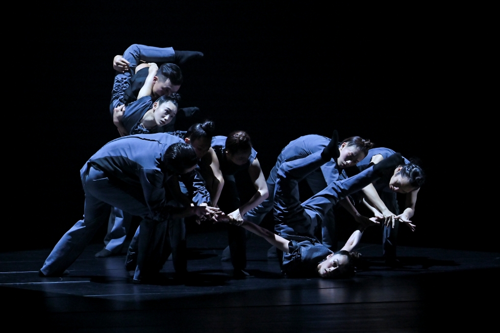 Birdy. MASDANZA