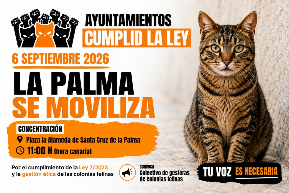 PACMA convoca movilizaciones en Canarias para reclamar una gestión ética de las colonias felinas