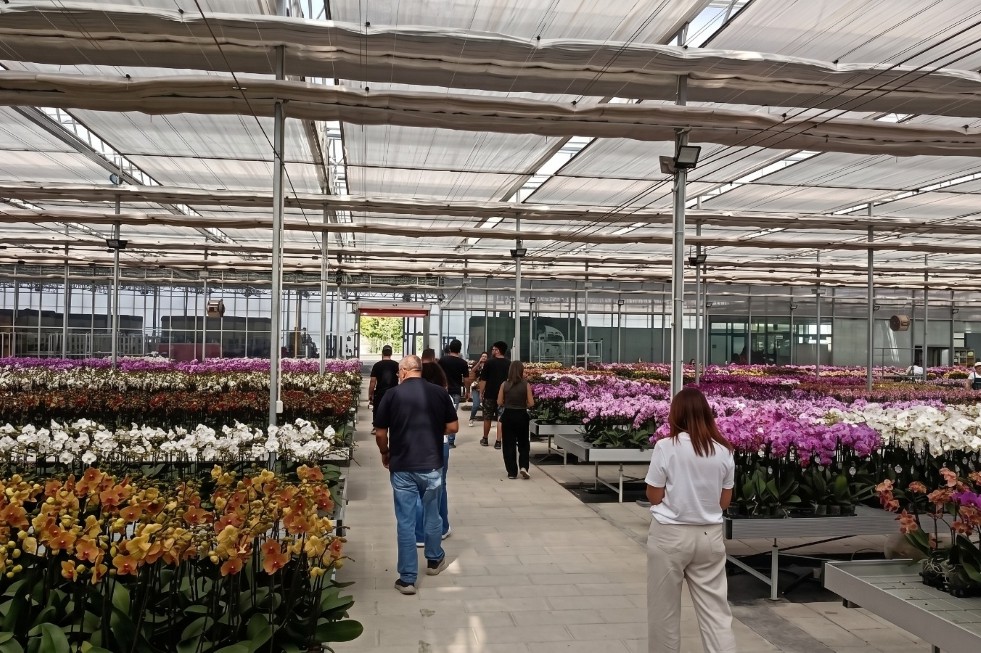 Feria de plantas en China | Maspalomas Ahora