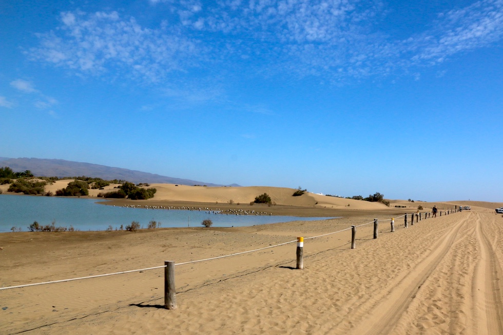 Conecta Dunas plantea tótems y sensores en la reserva de Maspalomas