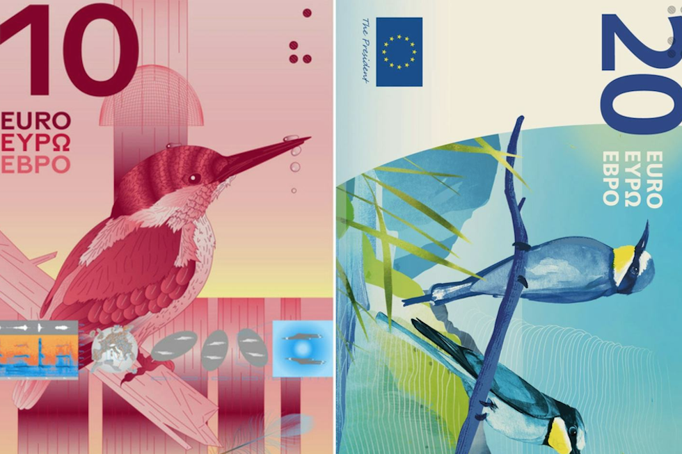 Estas son las aves que podrían aparecer en los nuevos billetes de euro