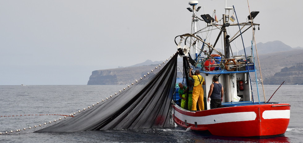 Archivo. Marineros de Mog&aacute;n empleando la modal idad de pesca traiña para capturar el cebo.