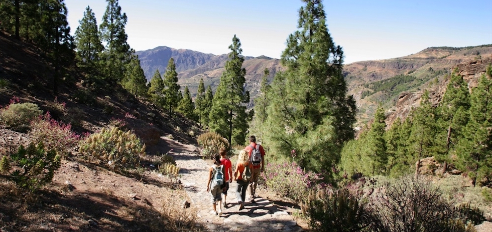 Naturaleza. MASPALOMAS AHORA