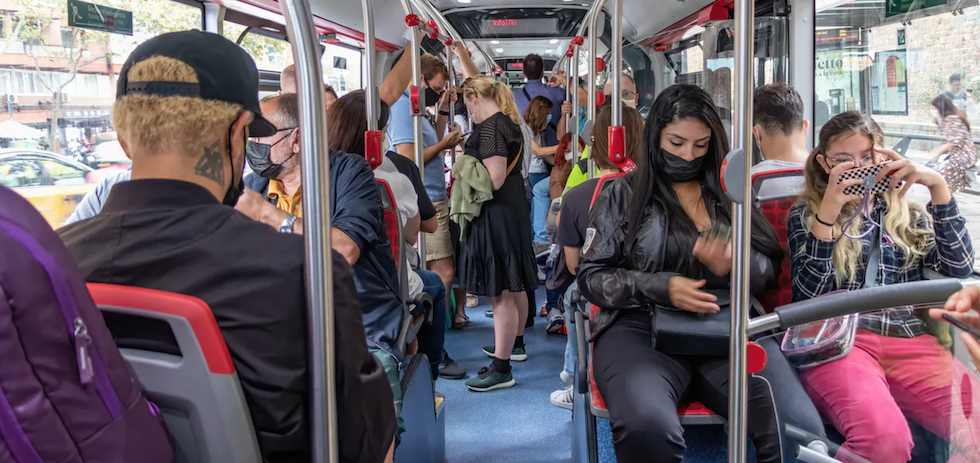 Shutterstock / agsaz