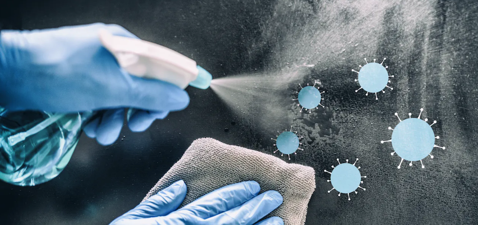 Shutterstock / Maridav