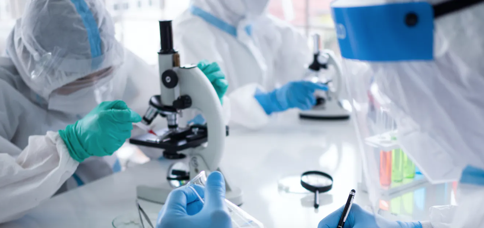 Shutterstock / peenat