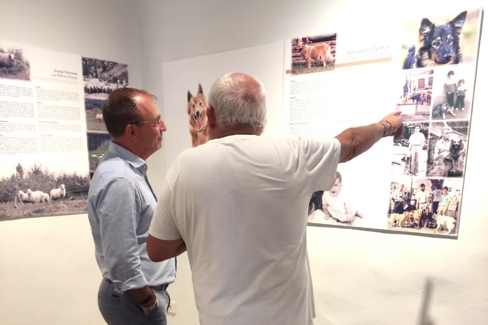 Exposición de las razas autóctonas palmeras