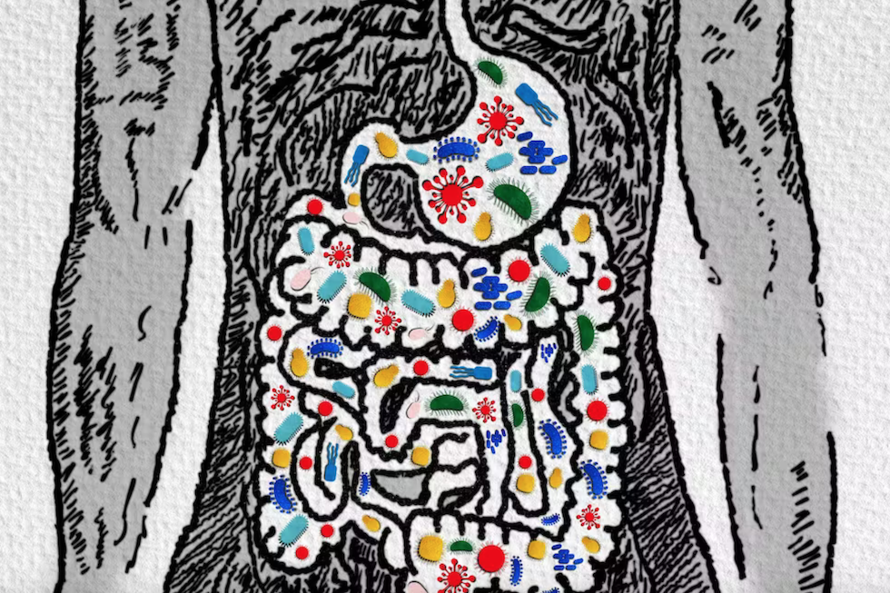 ArtemisDiana/Shutterstock