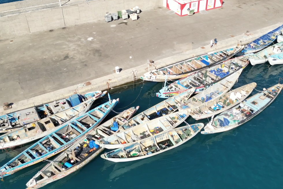 Cayucos en el muelle de Arguineguín