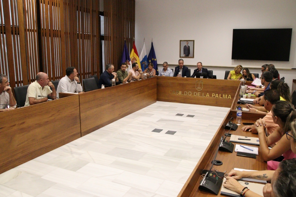 Reunión del Cabildo de la Palma con el ICAVI
