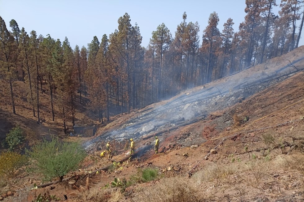Conato de incendio en Puntagorda