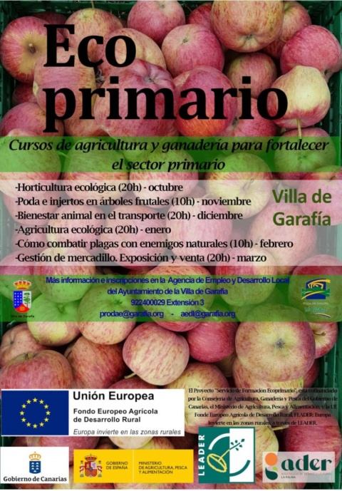 Cartel del II curso del proyecto formativo Ecoprimario