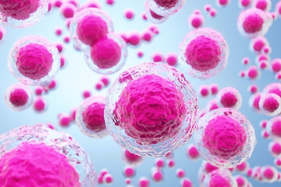 Representación de células madre, que se han utilizado en la nueva terapia ensayada para curar la diabetes tipo 1. WrukolakasPhotography/Shutterstock