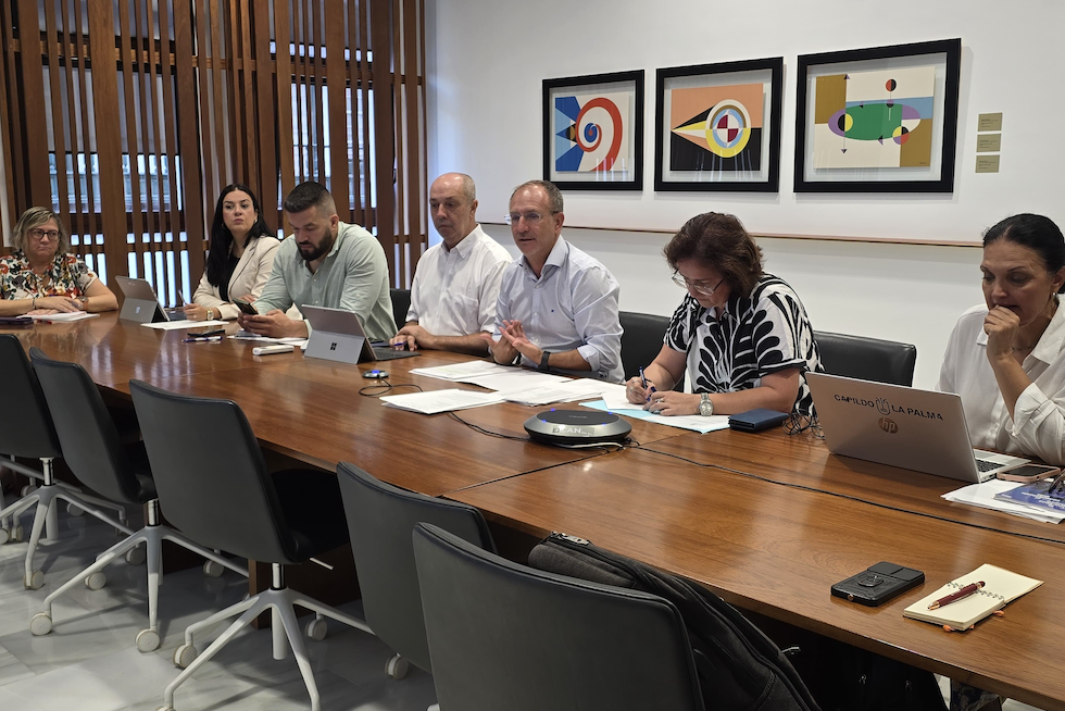 El Peinpal autoriza el acceso a tres garajes y una vivienda más en Puerto Naos