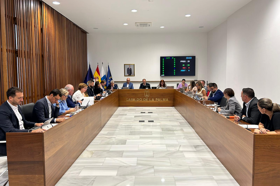 La Palma aprueba por unanimidad apoyar a pacientes con COVID Persistente