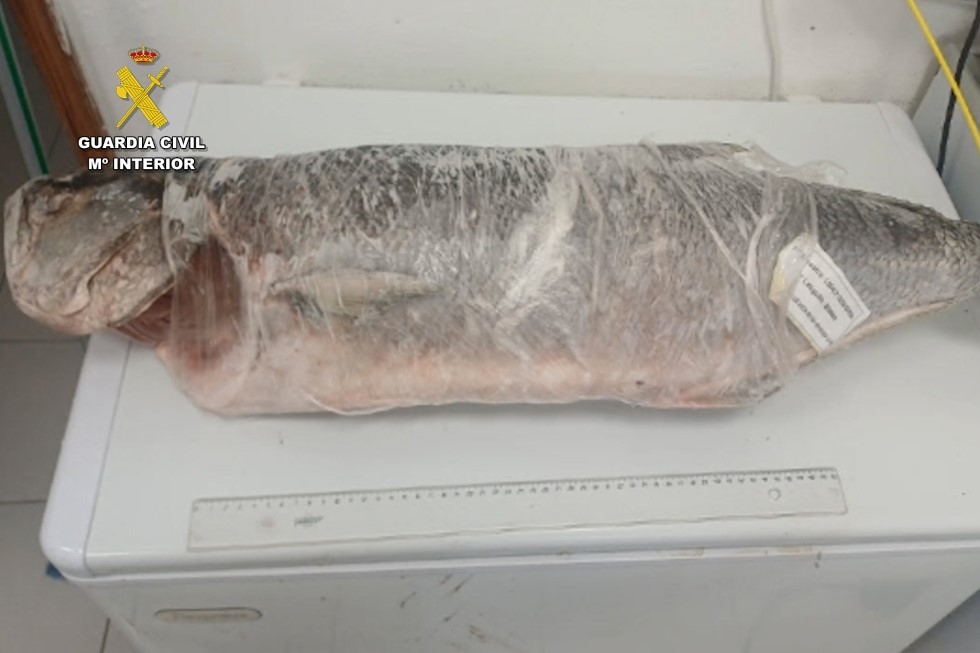Operaci&oacute;n Seabass | Maspalomas Ahora