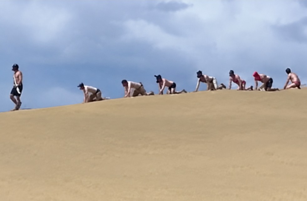 Therians en las Dunas de Maspalomas. RR.SS. | Maspalomas Ahora