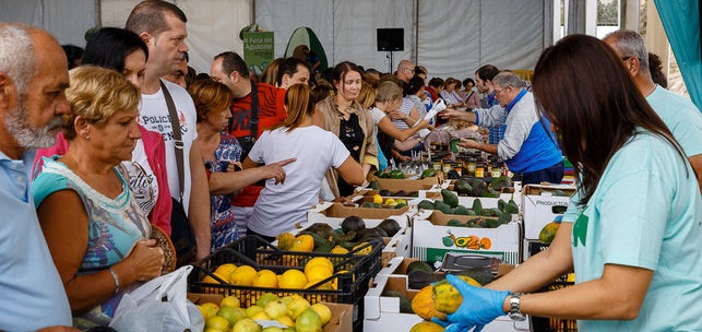 Imagen de archivo. Feria del aguacate.