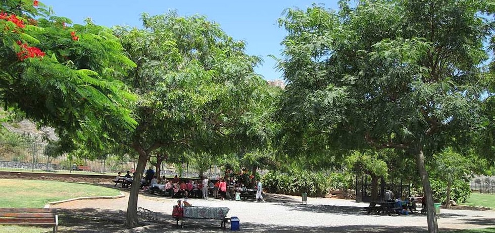 Parque Urbano del Sur | MASPALOMAS AHORA
