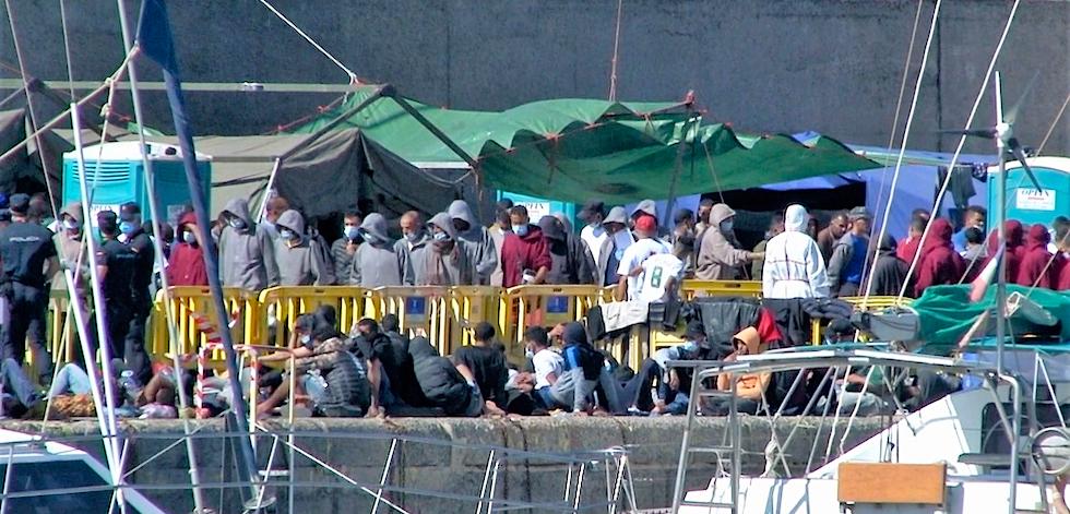 Campamento de emergencia en el Muelle de  Arguineguín este lunes 9 de noviembre. MASPALOMAS AHORA