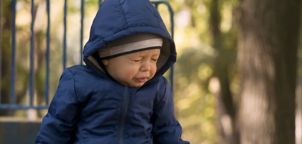 Shutterstock / Olga Listopad