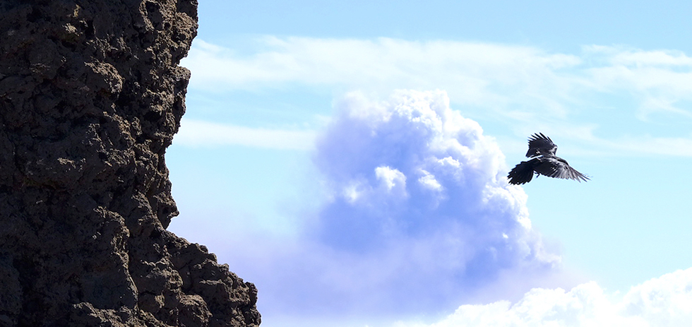 Imagen ave desde el aire (archivo). ACFI PRESS