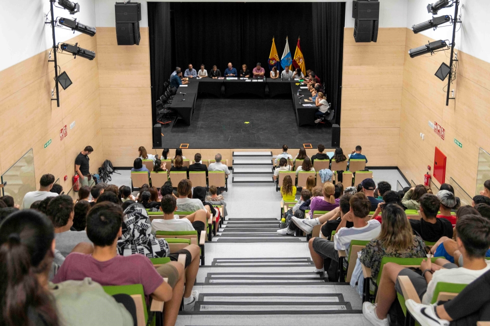 Pleno juvenil
