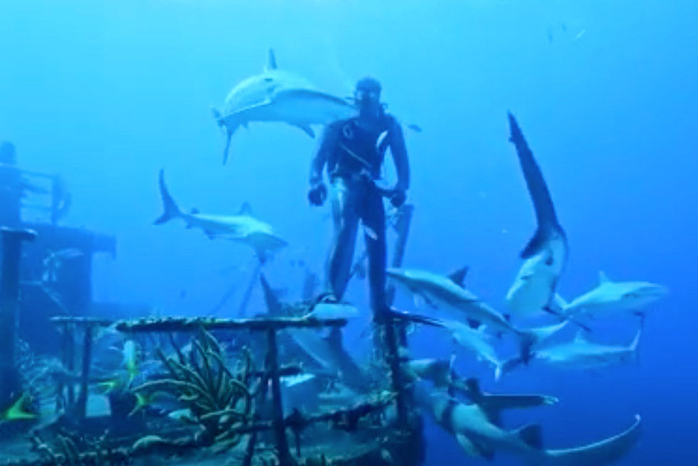 Ocean Film Tour