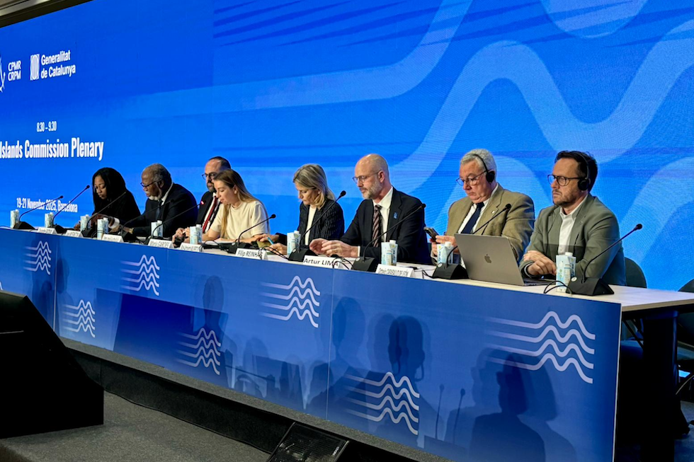 Octavio Caraballo en la Comisión de Islas | Maspalomas Ahora