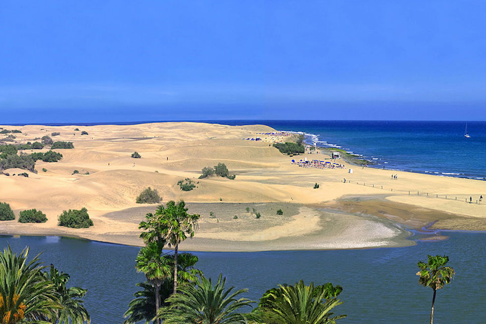 Charca de Maspalomas | Maspalomas Ahora