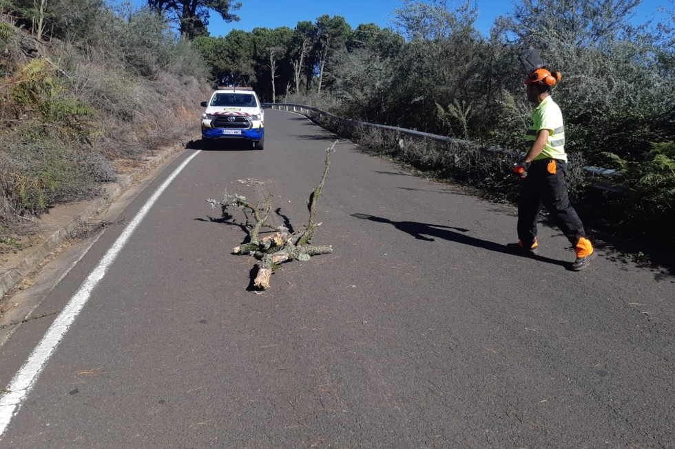 Operarios del Cabildo realizando trabajos preventivos. Maspalomas Ahora