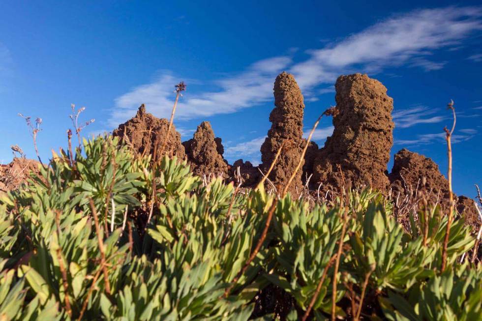 Roque de los Muchachos