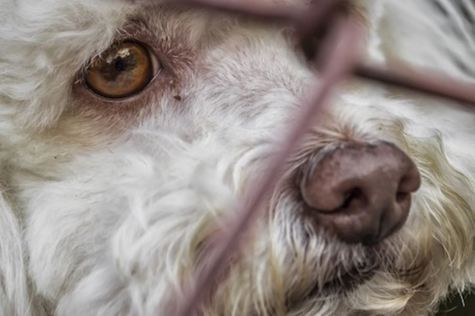 Imagen de archivo. Maspalomas Ahora