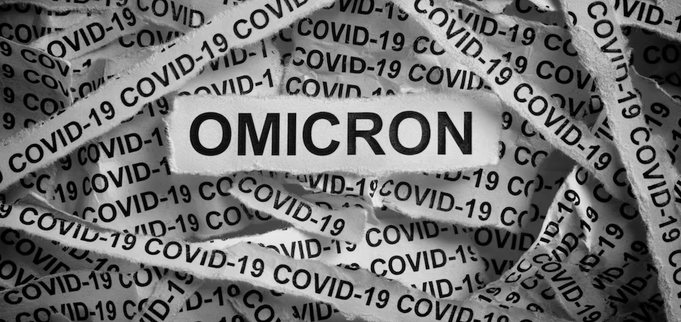 Shutterstock / StepanPopov