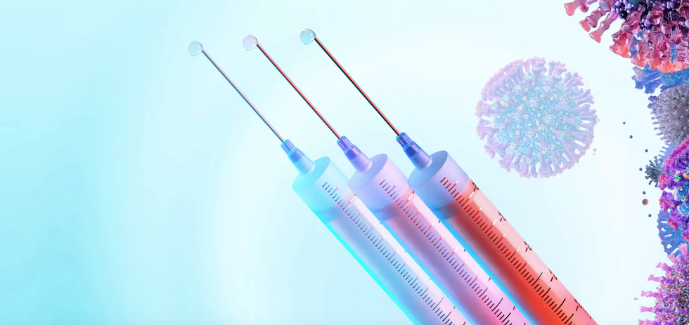 Shutterstock / Corona Borealis Studio