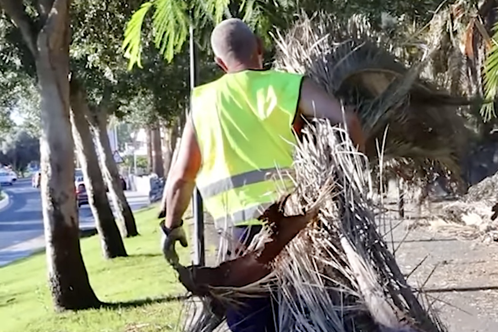 Un trabajador municipal recogiendo los residuos para rehabilitar la zona.
