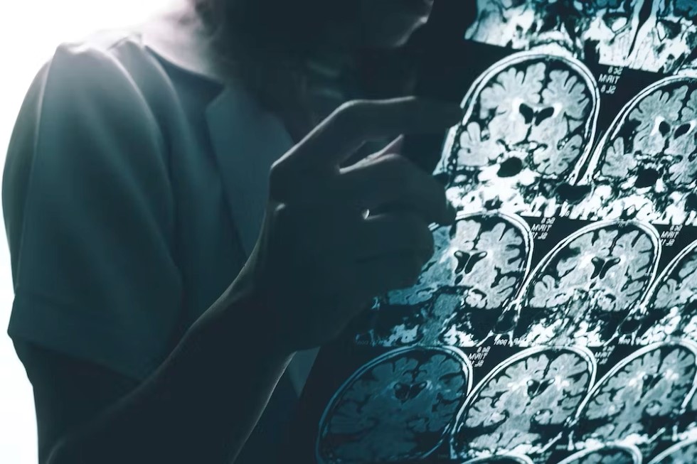 Atthapon Raksthaput / Shutterstock