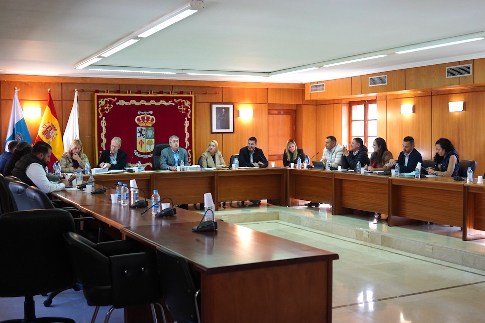 Pleno ordinario de diciembre