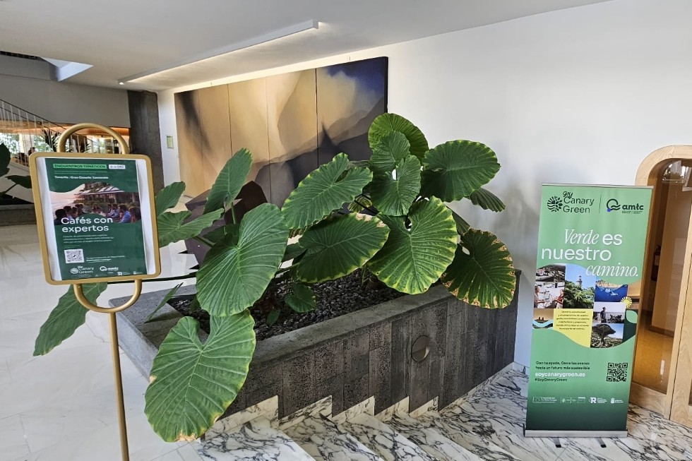 Café con Expertos | Maspalomas Ahora