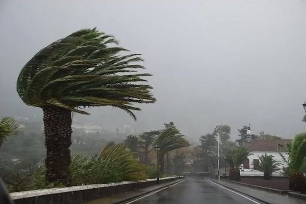 Temporal | Maspalomas Ahora