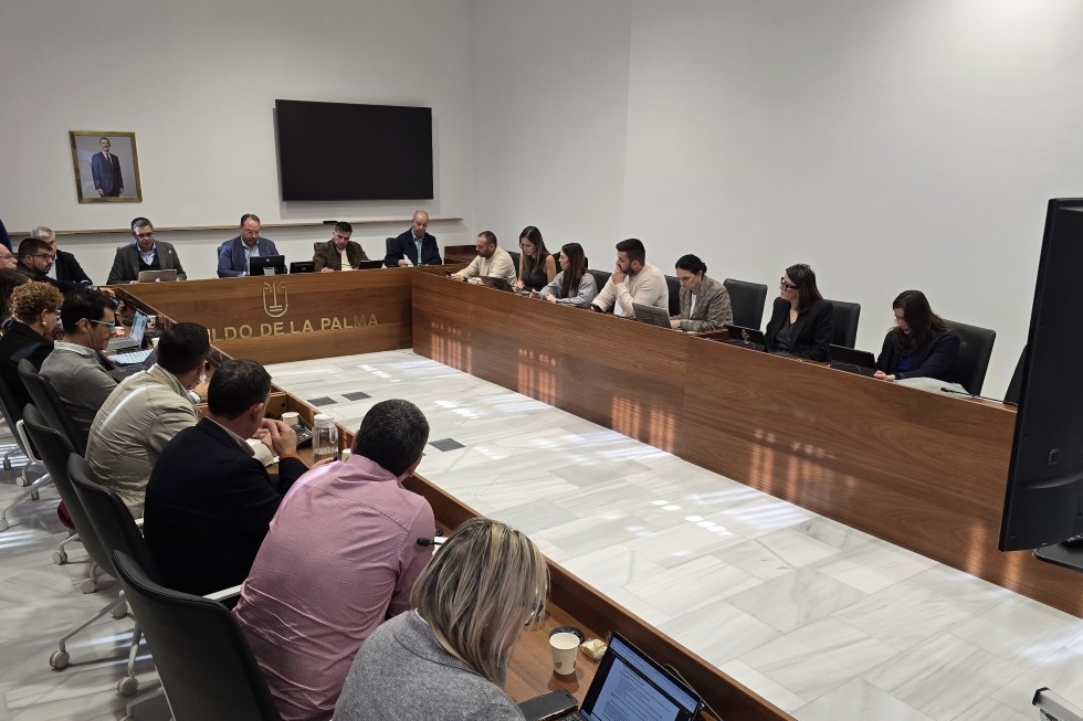 Asamblea General del Consorcio de Servicios de La Palma