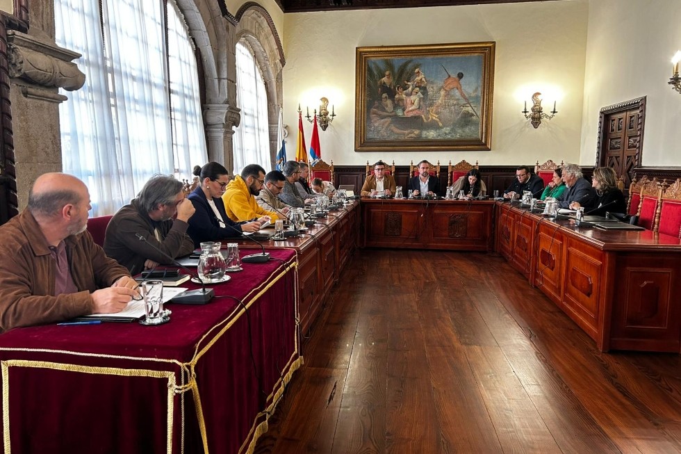 Pleno extraordinario